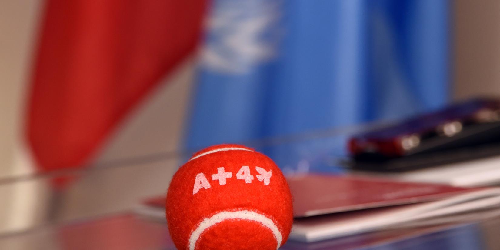 APlusForPeace - UN and Swiss Flags